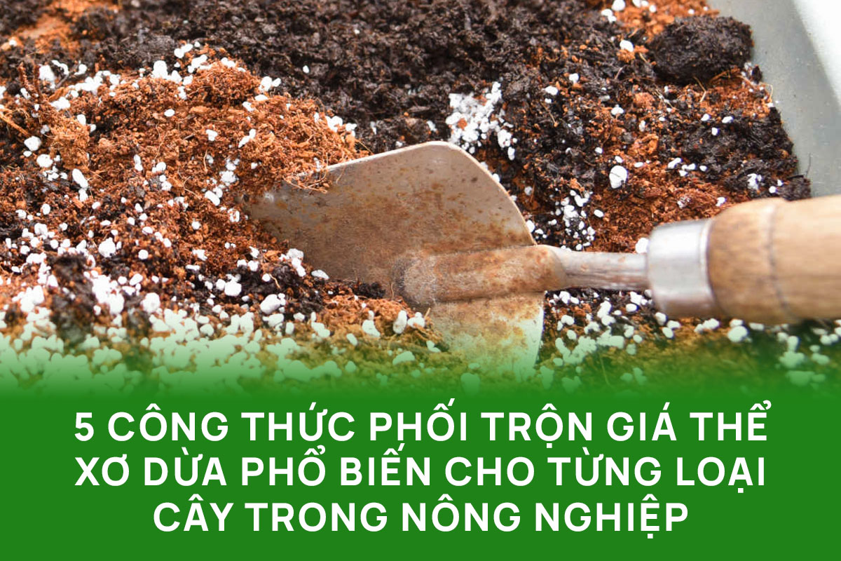 5 công thức phối trộn giá thể xơ dừa phổ biến cho từng loại cây trong nông nghiệp