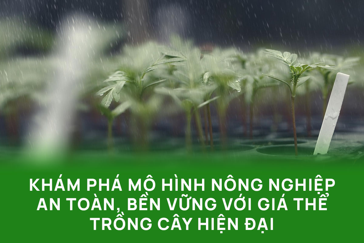Khám phá mô hình nông nghiệp an toàn, bền vững với giá thể trồng cây hiện đại