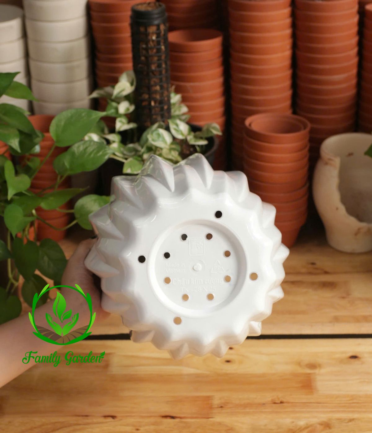 Ảnh chụp đáy chậu nhựa kim cương Thakico - Trắng - Size 28x25cm | Độc quyền Family Garden