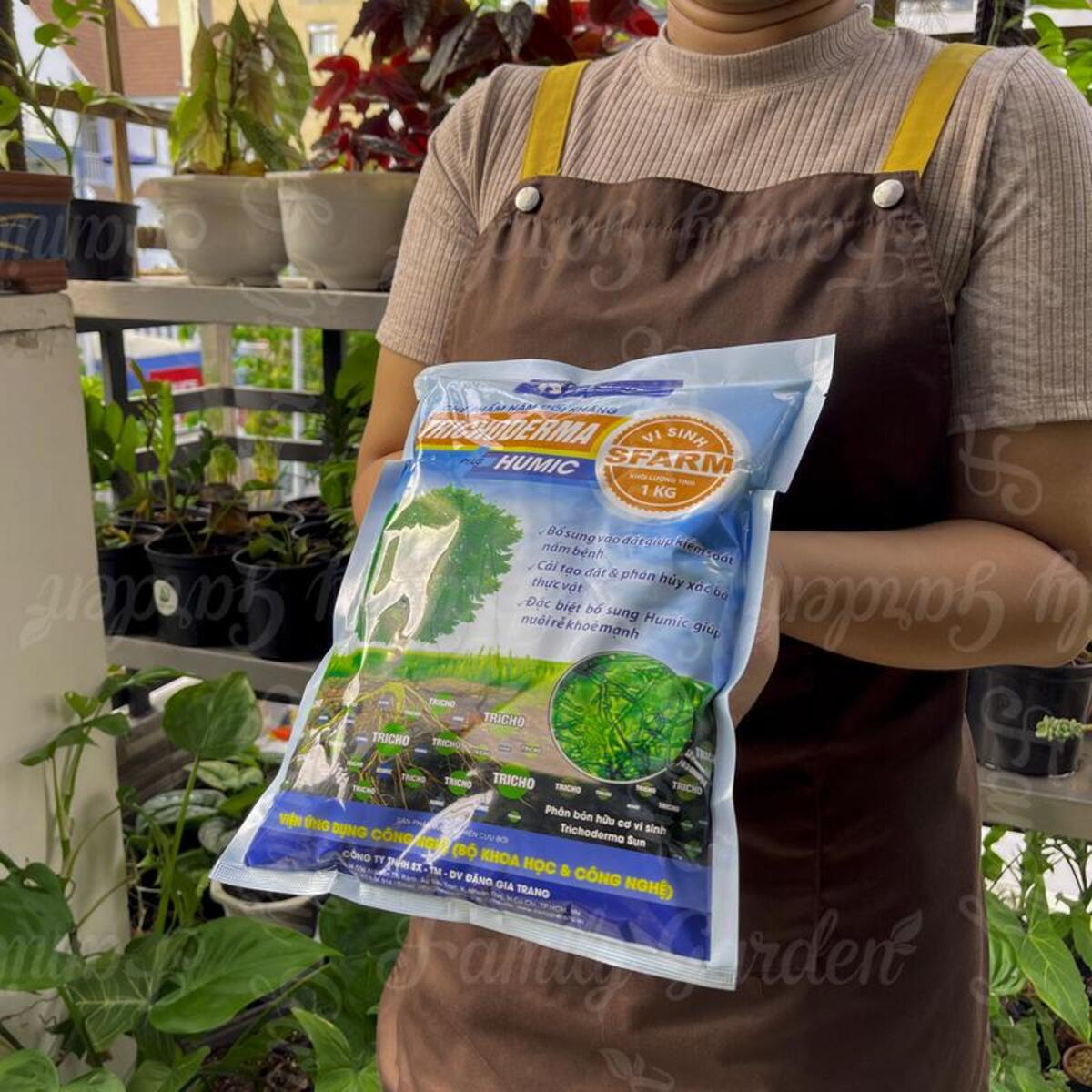 Chế phẩm nấm giảm thiểu tình trạng thối rễ 