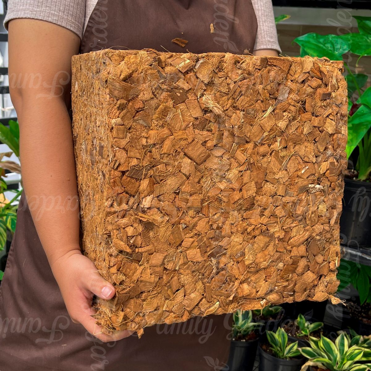 Ảnh thực tế vỏ dừa cắt 5Kg ép viên Family Garden đã xử lý chất chát gây hại