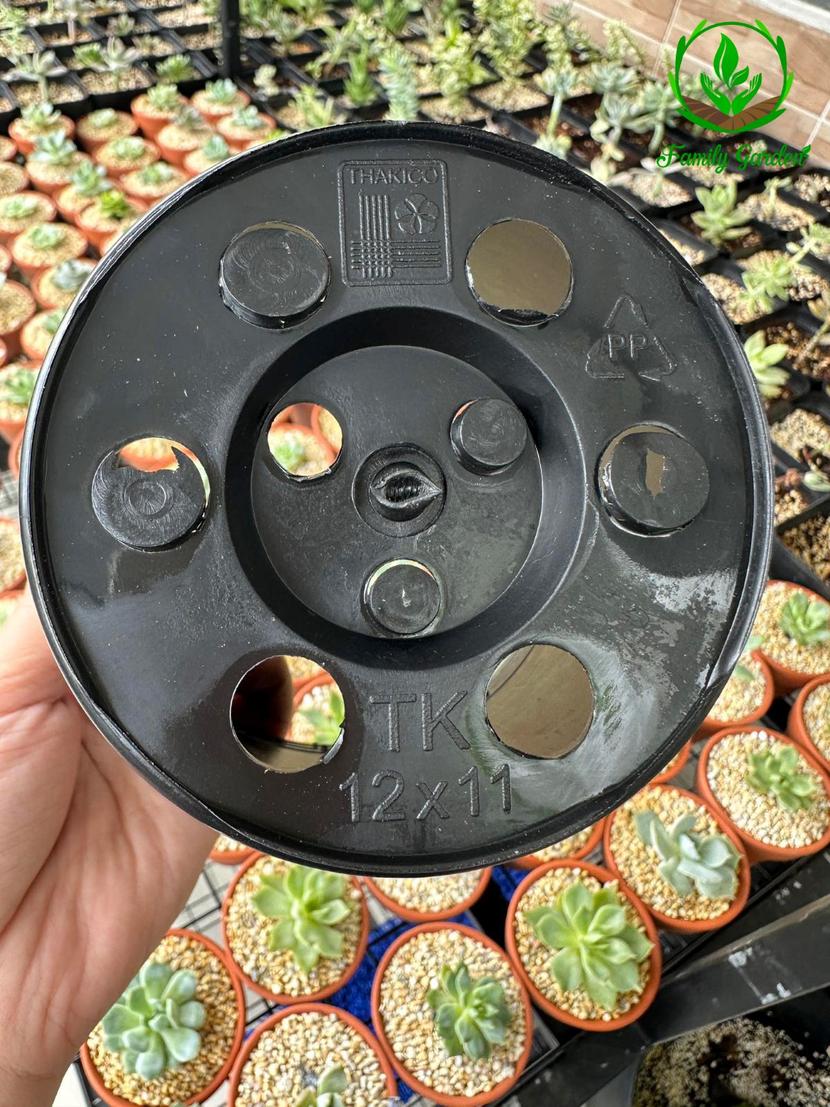 Ảnh đáy chậu nhựa tròn đen THAKICO size 12x11cm tại Family Garden