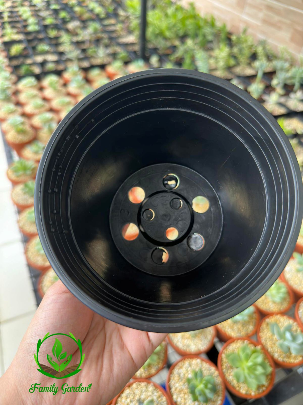 Ảnh chụp lòng trong chậu nhựa đen tròn THAKICO size 12x11cm