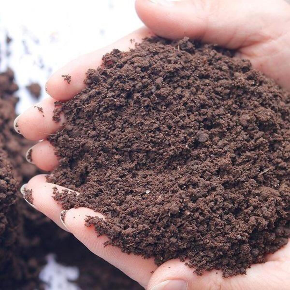 Công dụng của túi phân trùn quế SFARM