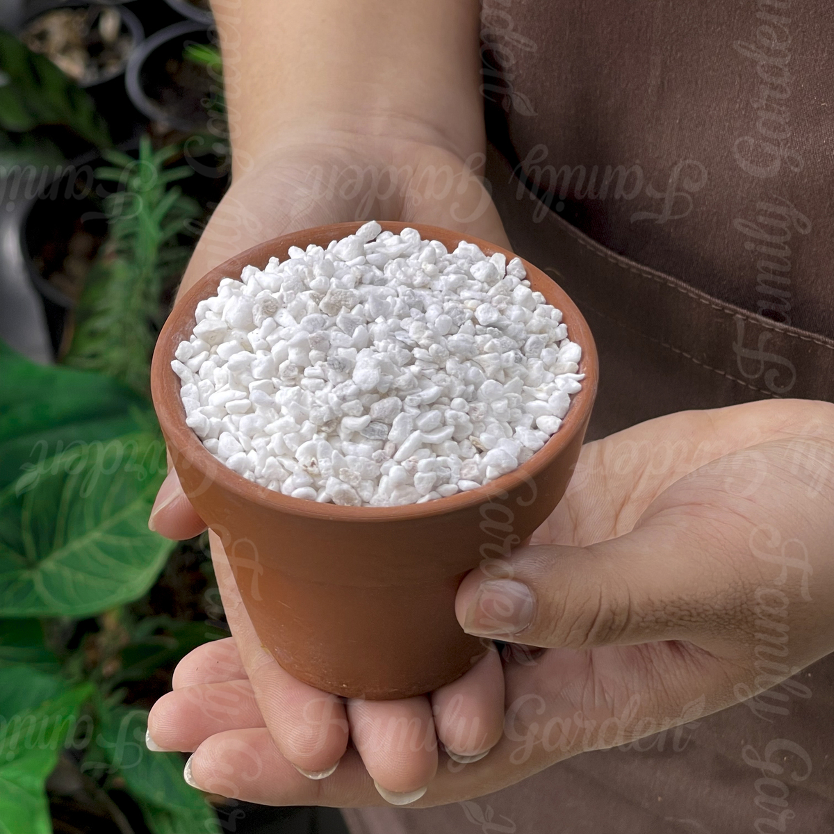 Bao 10kg đá perlite, đá trân châu trồng sen đá 