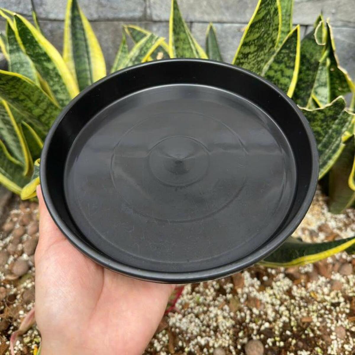 Combo 10 dĩa nhựa đen lót chậu chất liệu nhựa Polypropylene nguyên sinh cao cấp