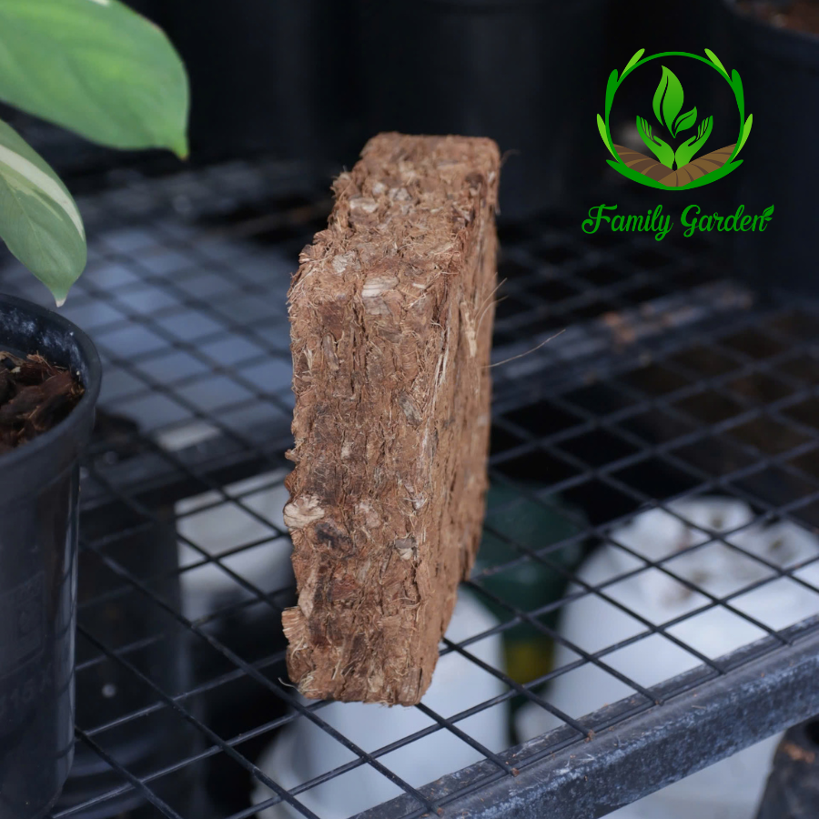 Độ dày viên nén vỏ dừa cắt 500gr nhà Family Garden