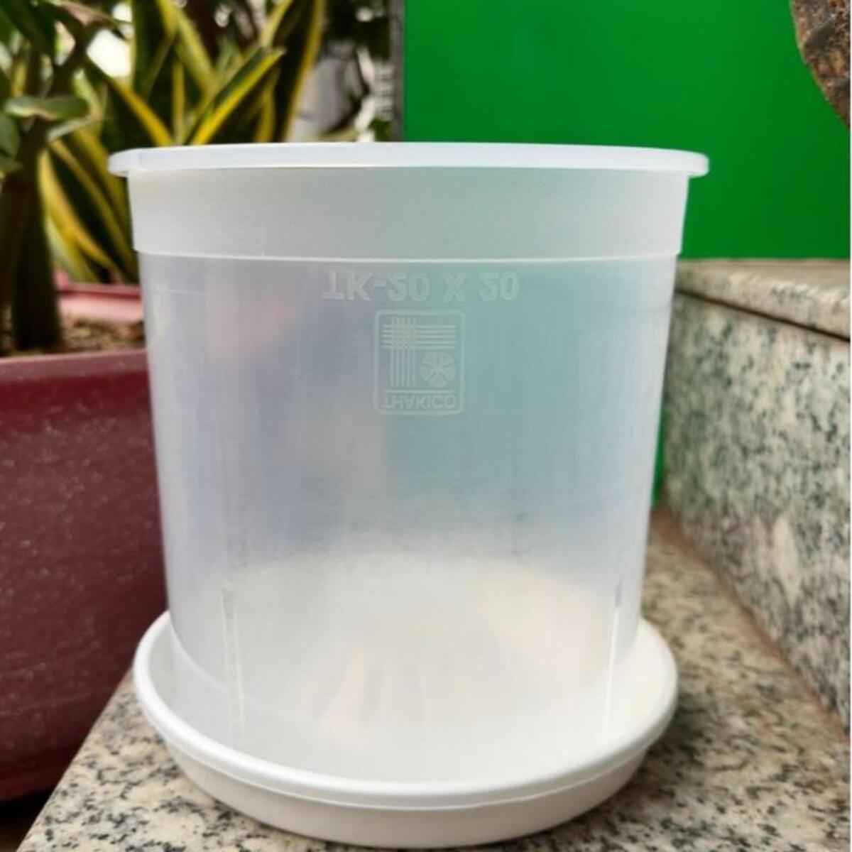 Dĩa nhựa trắng lót chậu không chỉ lót chậu cây mà còn dùng làm khay lót vật dụng trang trí