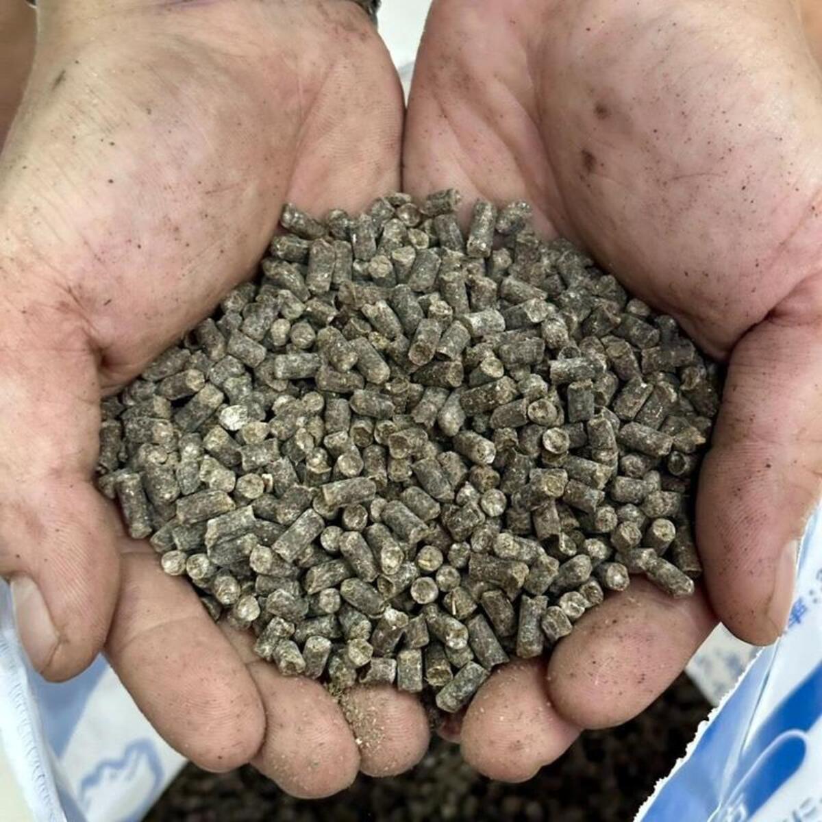 Phân gà bổ sung vi sinh vật có lợi và tăng lượng hữu cơ