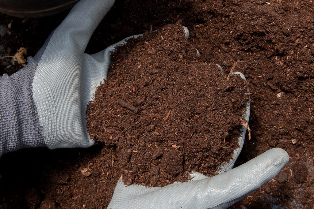 FAQ - Câu hỏi thường gặp