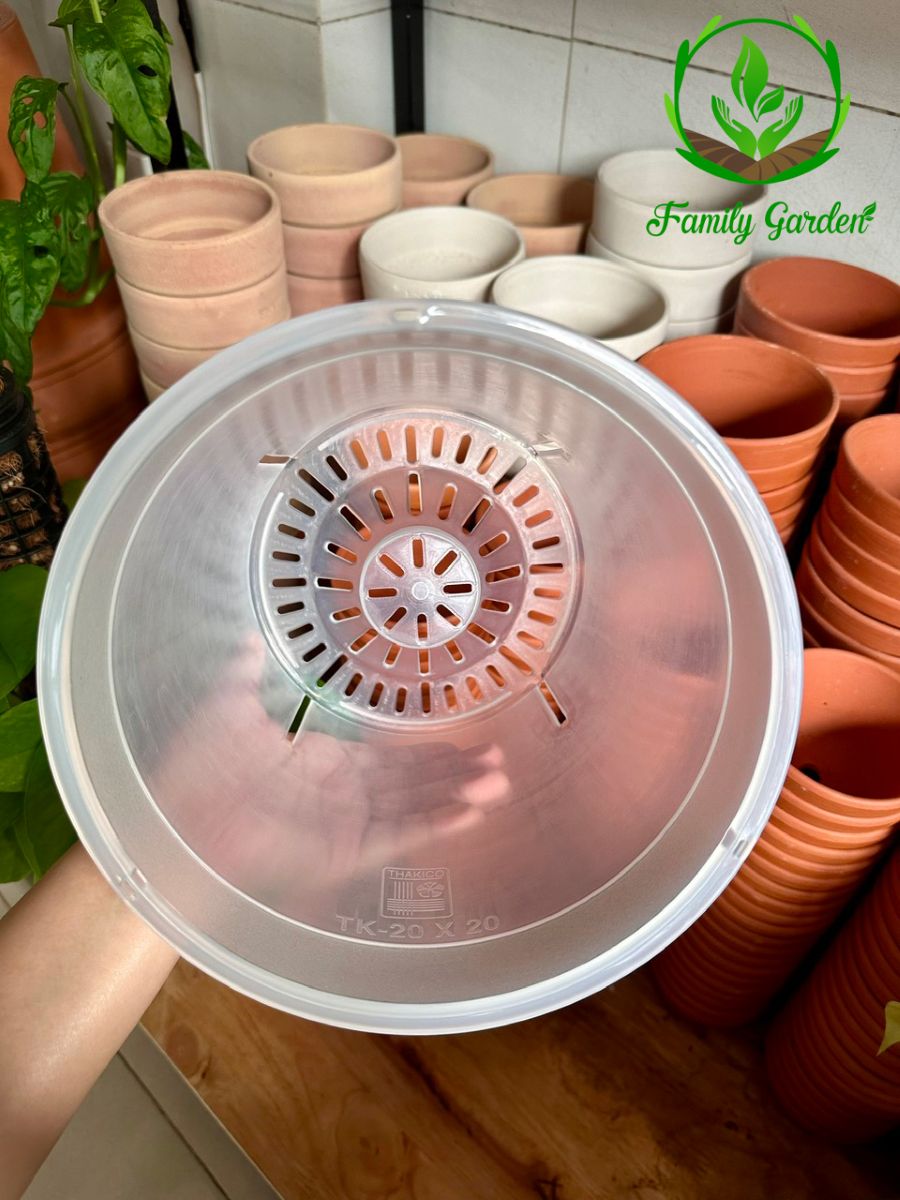 Ảnh chụp lòng chậu nhựa trong suốt Thakico - Tròn - Size thông dụng 20x20cm  | Độc quyền Family Garden