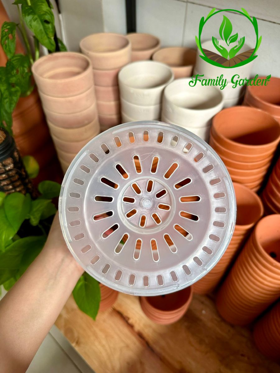 Ảnh chụp đáy chậu nhựa trong suốt Thakico - Tròn - Size thông dụng 18x16cm  | Độc quyền Family Garden