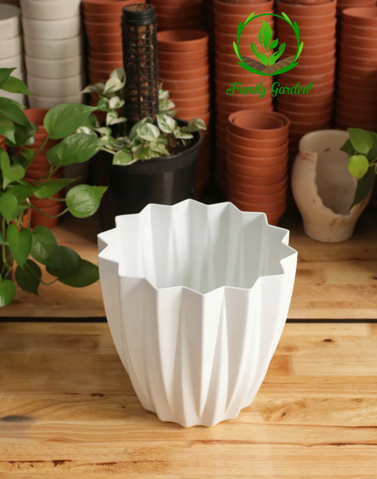 Thiết kế nhỏ gọn với gân sọc hình kim cương rất ấn tượng, thích hợp trồng những loại cây hoa, cây kiểng