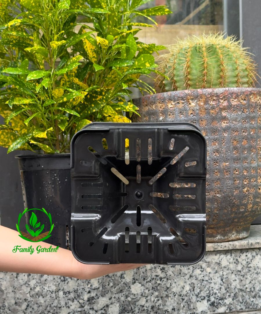 Ảnh thực tế chụp đáy chậu nhựa đen Thakico - Vuông - Size lớn thông dụng 23x28cm | Độc quyền Family Garden