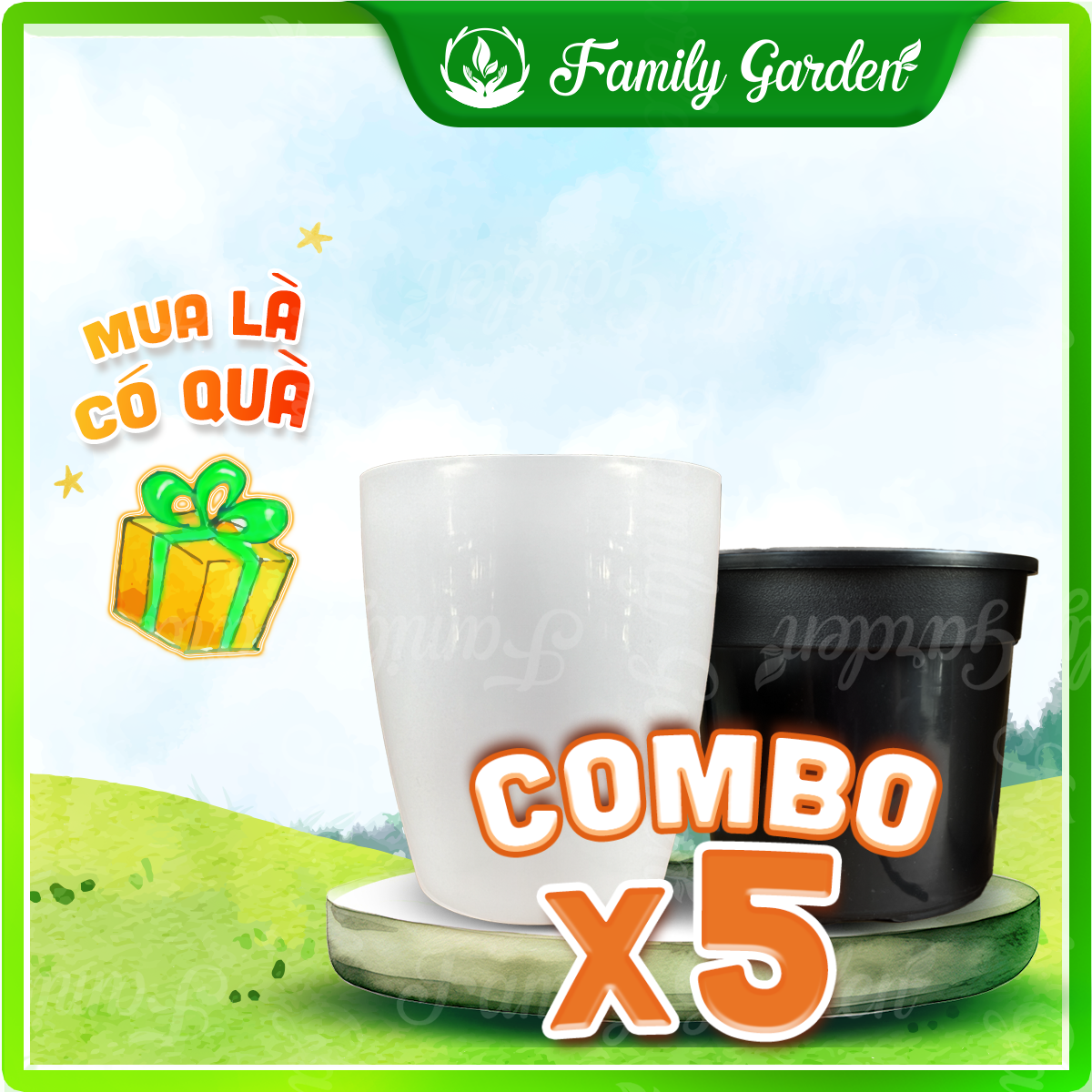 Set chậu nhựa Thakico được thiết kế chuyên biệt trồng thủy sinh