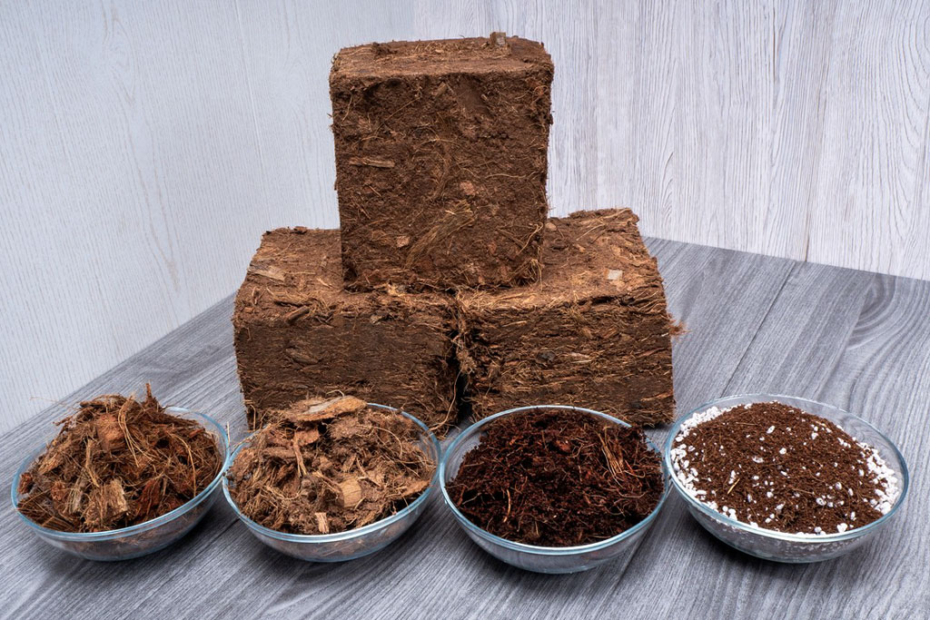 Giá thê xơ dừa có những dạng như thế nào?