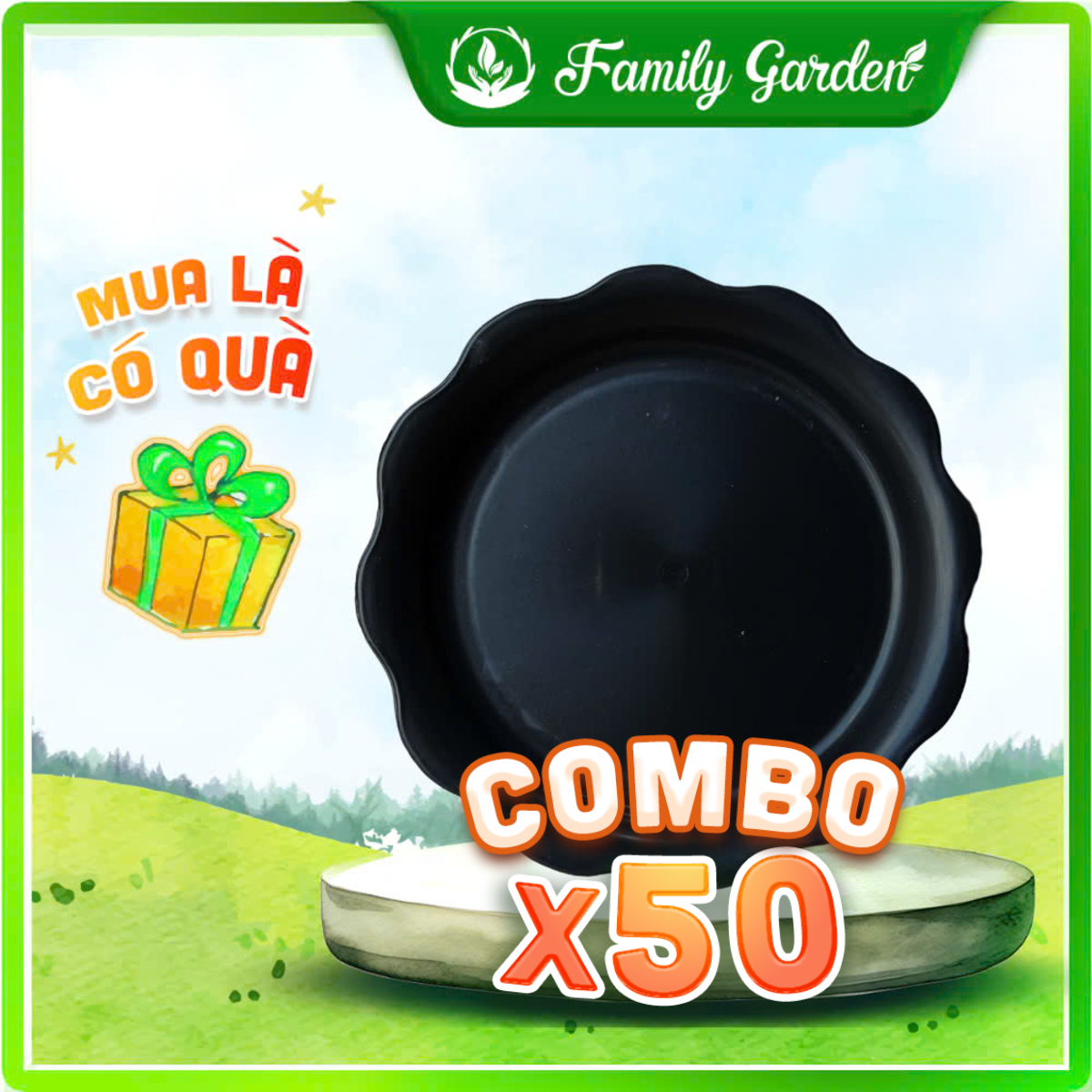 Combo 50 dĩa nhựa bèo đen size 16/12 - Độc quyền Family Garden