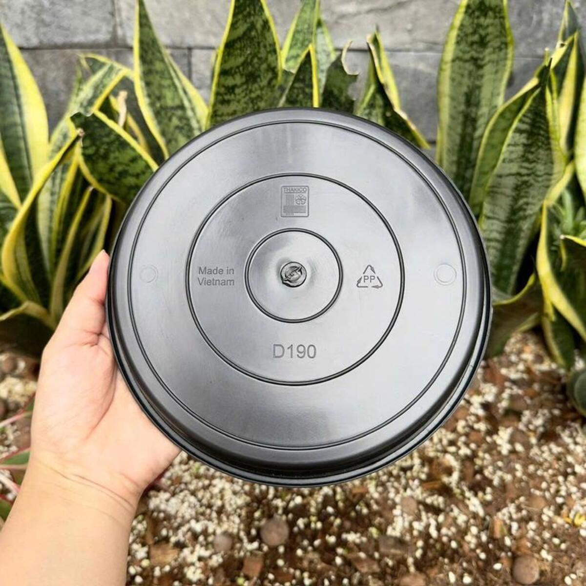 Công dụng dĩa nhựa đen lót chậu giữ nước thừa từ chậu thoát nước, bảo vệ bàn